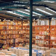 Understanding the IMMEX Program